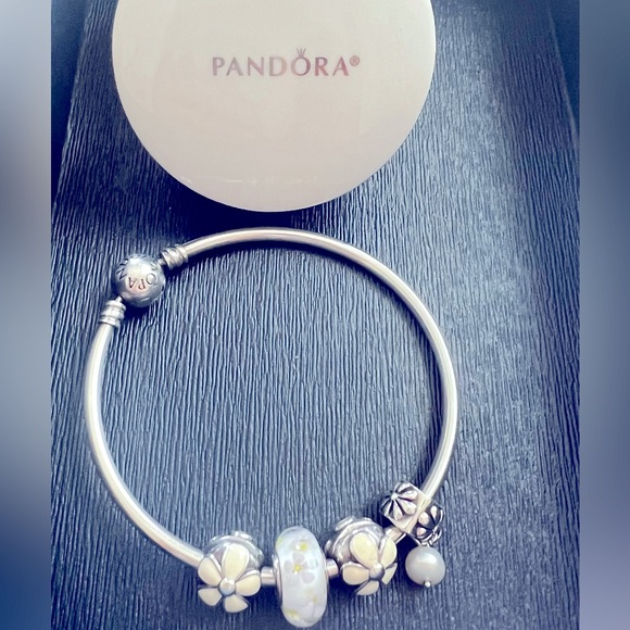 Authentic Ale 925 Pandora Bangle Bracelet Bundle - Picture 2 of 2